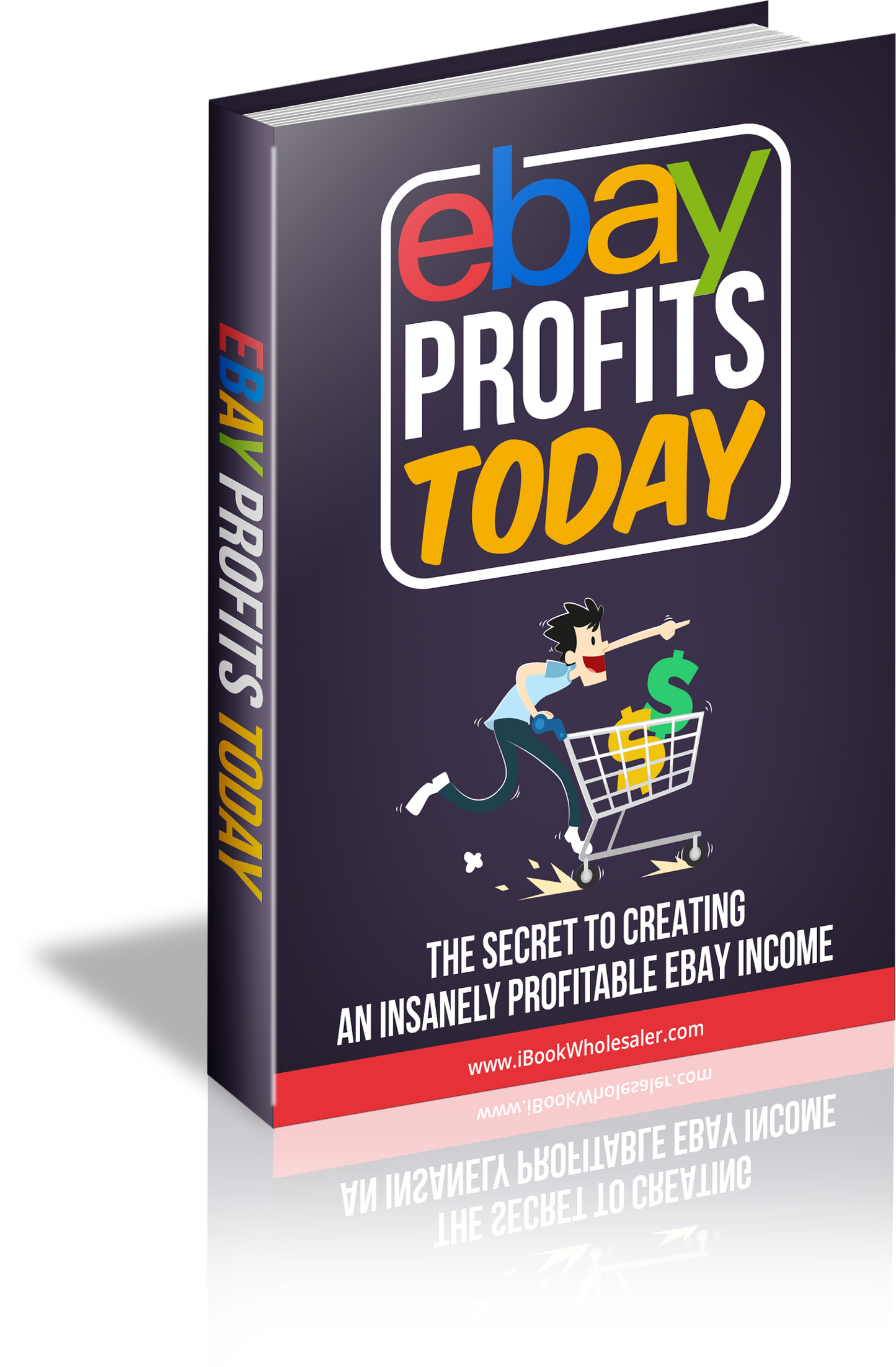 eBay Profits: How to Build a Profitable Business Selling Products on eBay