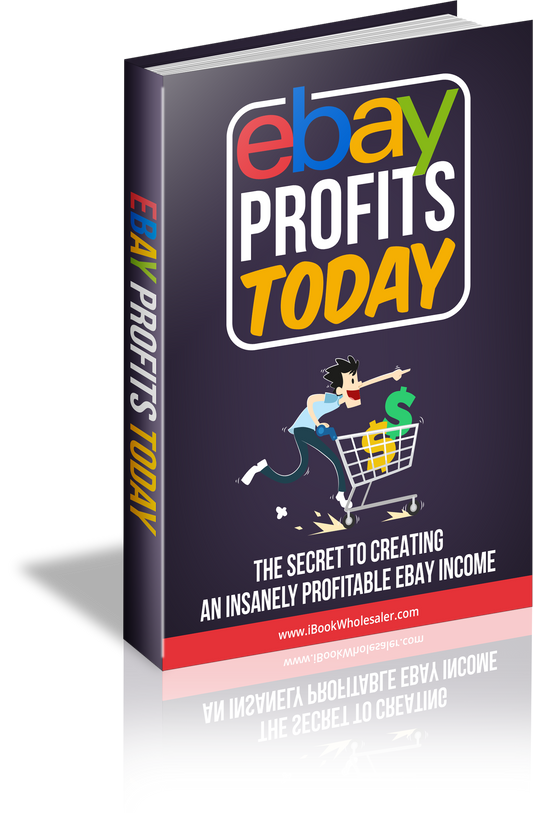 eBay Profits: How to Build a Profitable Business Selling Products on eBay